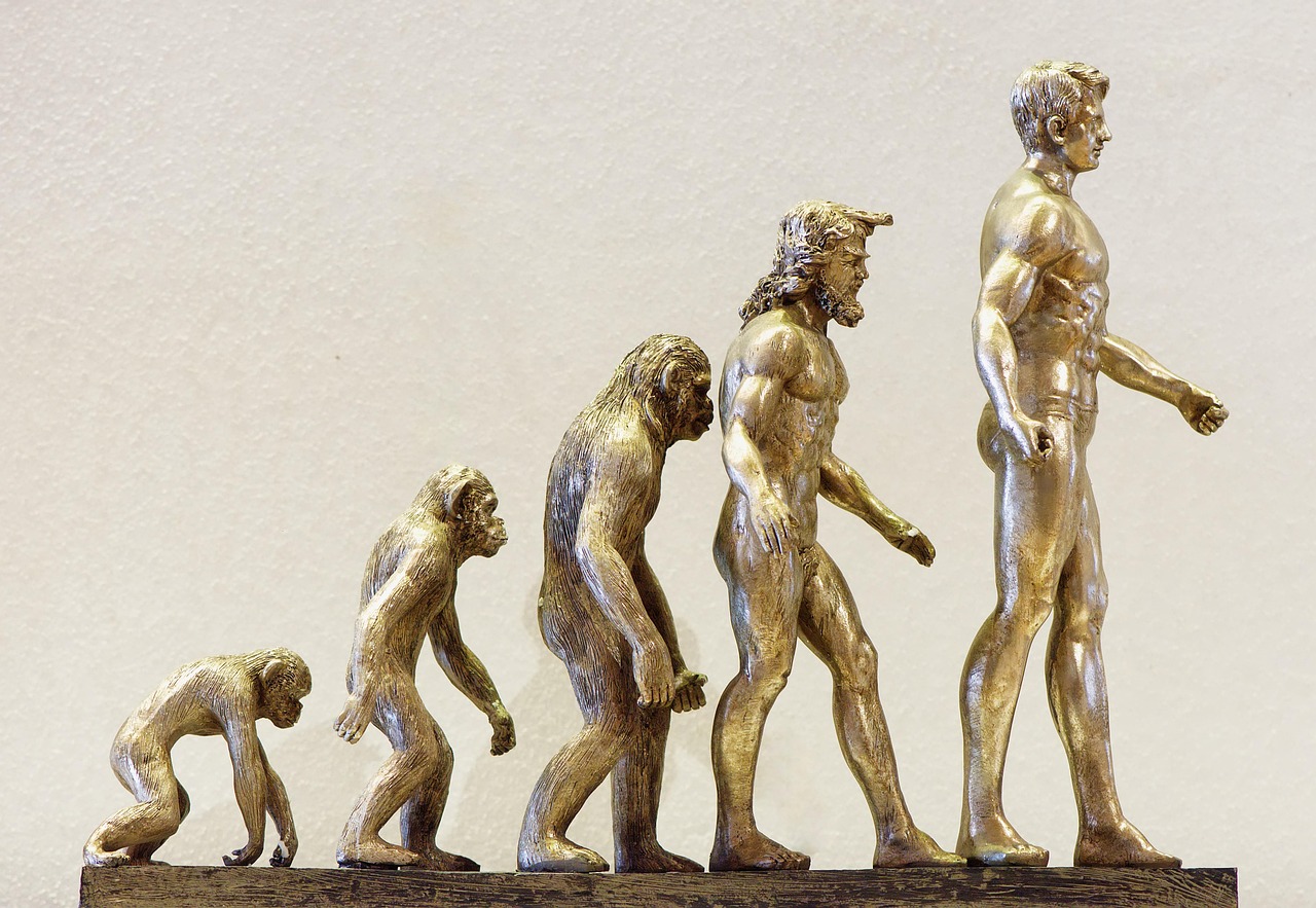 The careful reader guide to understanding visitor questions